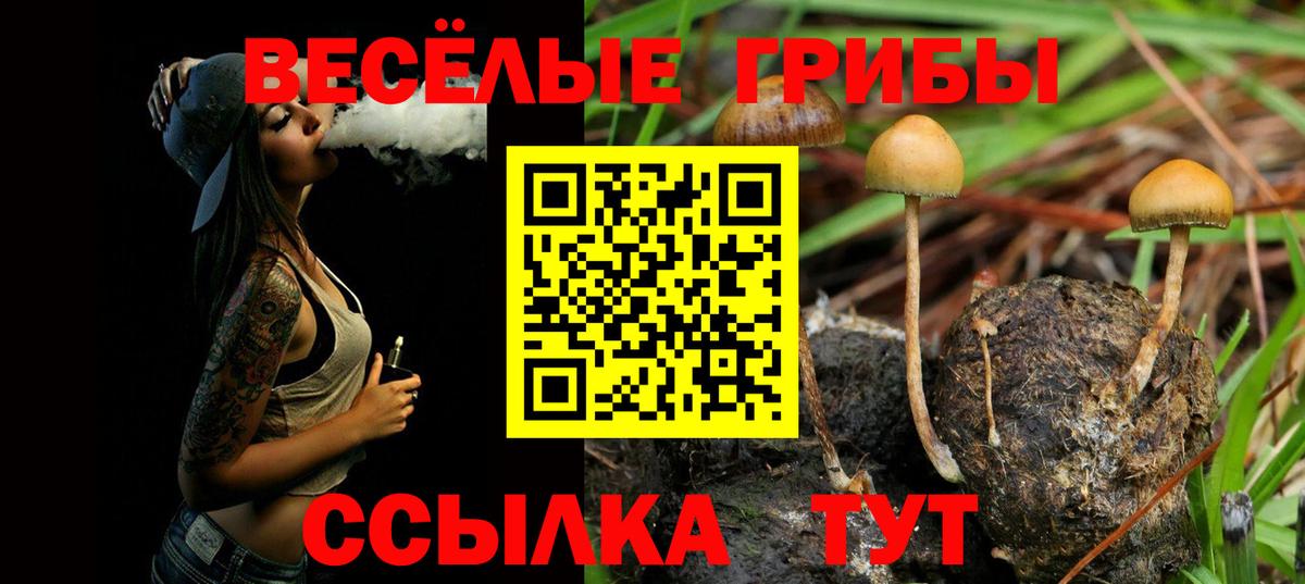 Галлюциногенные грибы мухоморы Балабаново