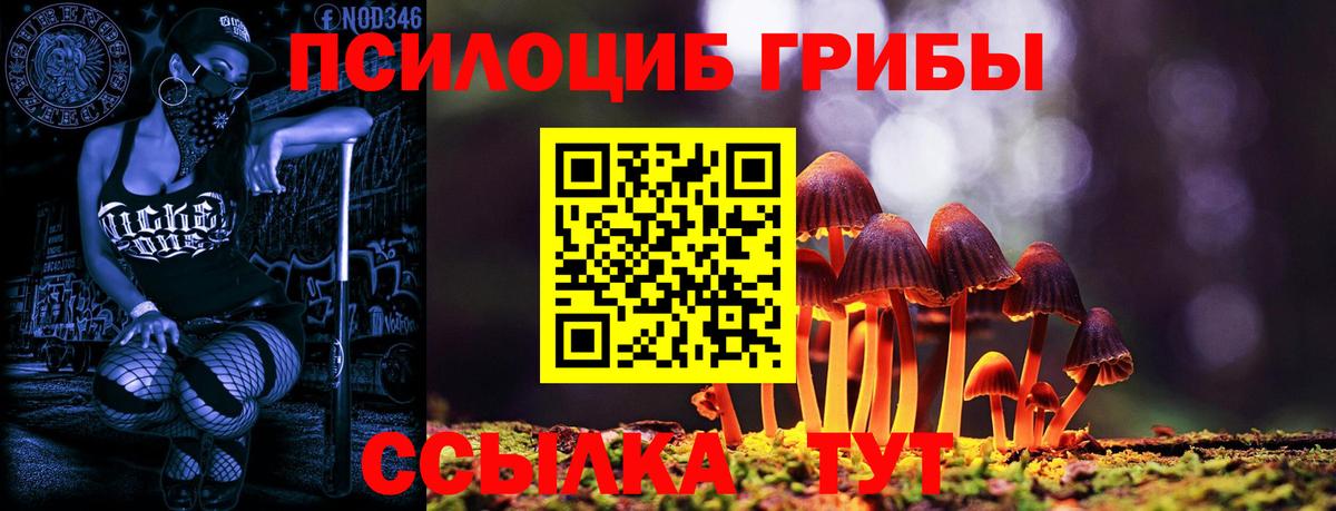Балабаново  Галлюциногенные грибы Cubensis  Псилоцибиновые грибы мухоморы  Вход с VPN 